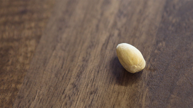 Illustration for article titled 6 Pistachios Without Cracks, Forever Shrouded In Mystery